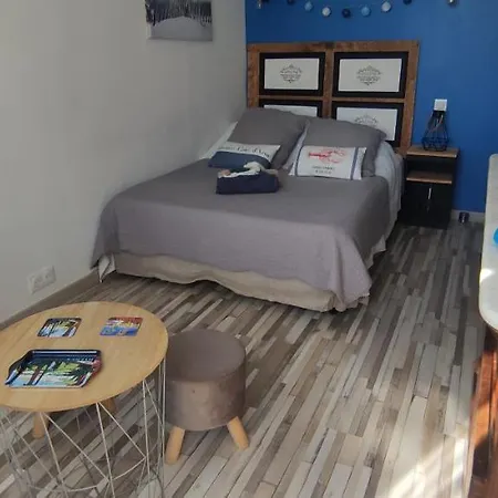 Bleues Cote Et Aeroport Climatisees Et Parking Gratuit Bed and Breakfast Ιέρ