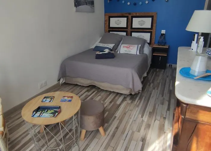 Bleues Cote Et Aeroport Climatisees Et Parking Gratuit Bed and Breakfast Ιέρ